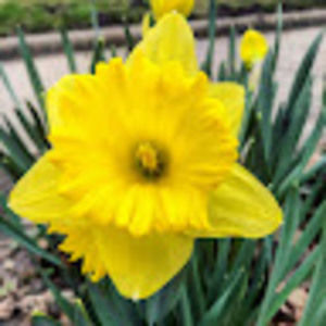 Meet your Posher, Corinne